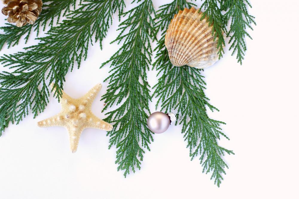 Decorate for a Beachy Christmas